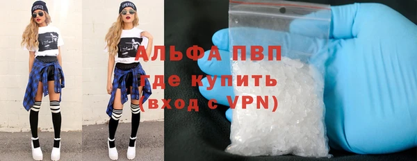 гашик Зеленокумск